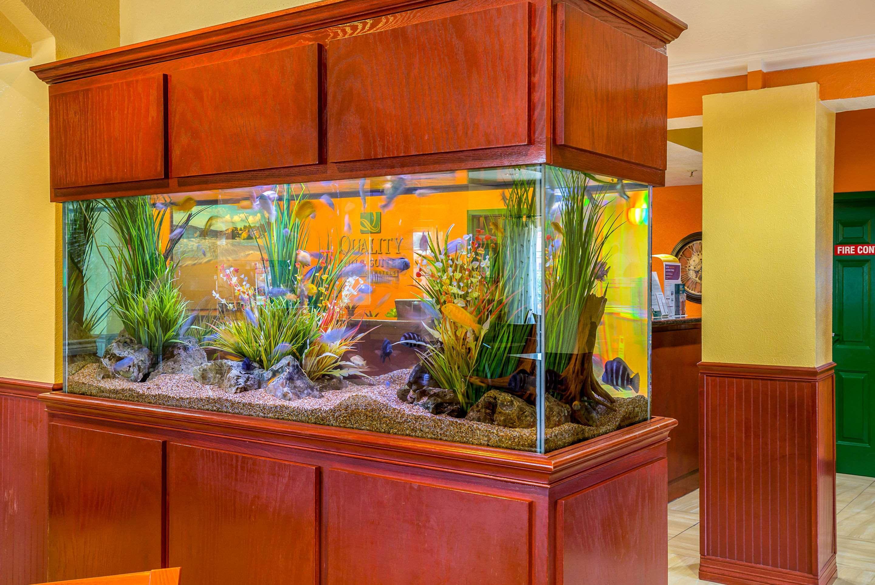 Quality Inn & Suites Galveston - Beachfront Εξωτερικό φωτογραφία